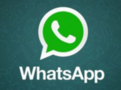 WhatsApp账号出售